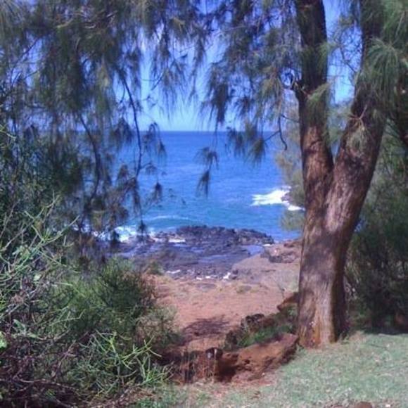 Meet your Posher, Ivy - Picture 1 of 1